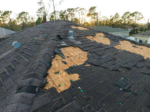 Best Skylight Installation and Repair  in Golden Beach, MD